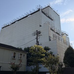 IMG_8841